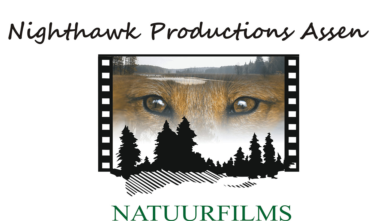 cropped-Nighthawk-Productions-Logo_1600.png