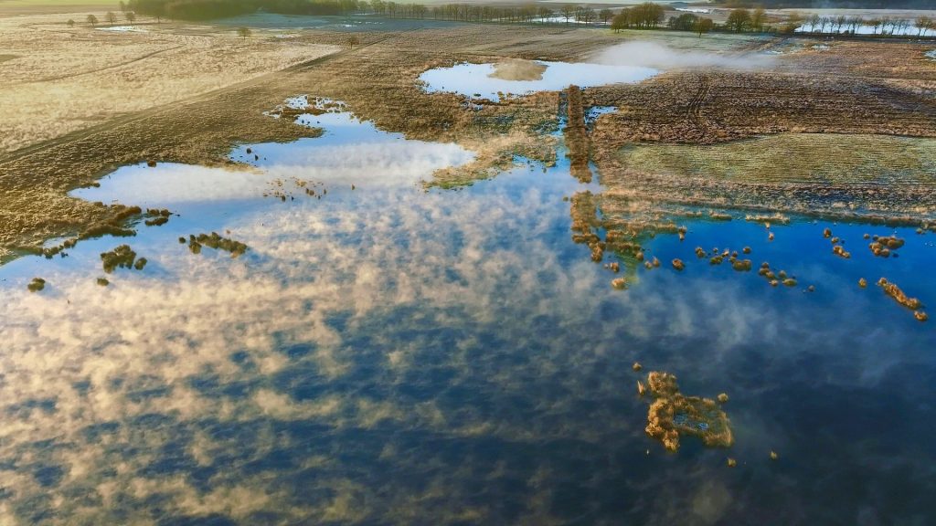 De Drentse natuur heeft een mysterieus karakter